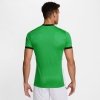 Koszulka Nike Academy 25 SS Top FZ9754-329 zielony XL